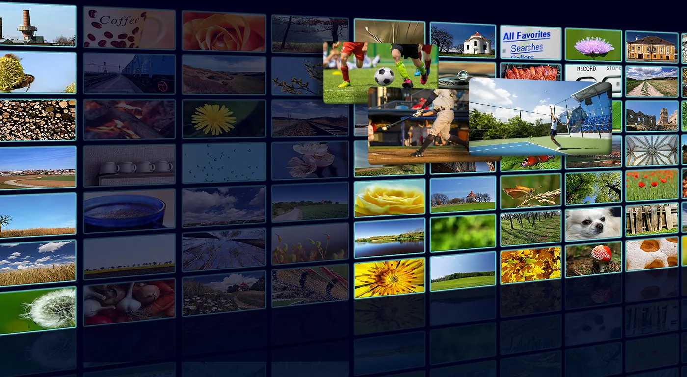 スポーツをネットでLIVE中継-背景画像